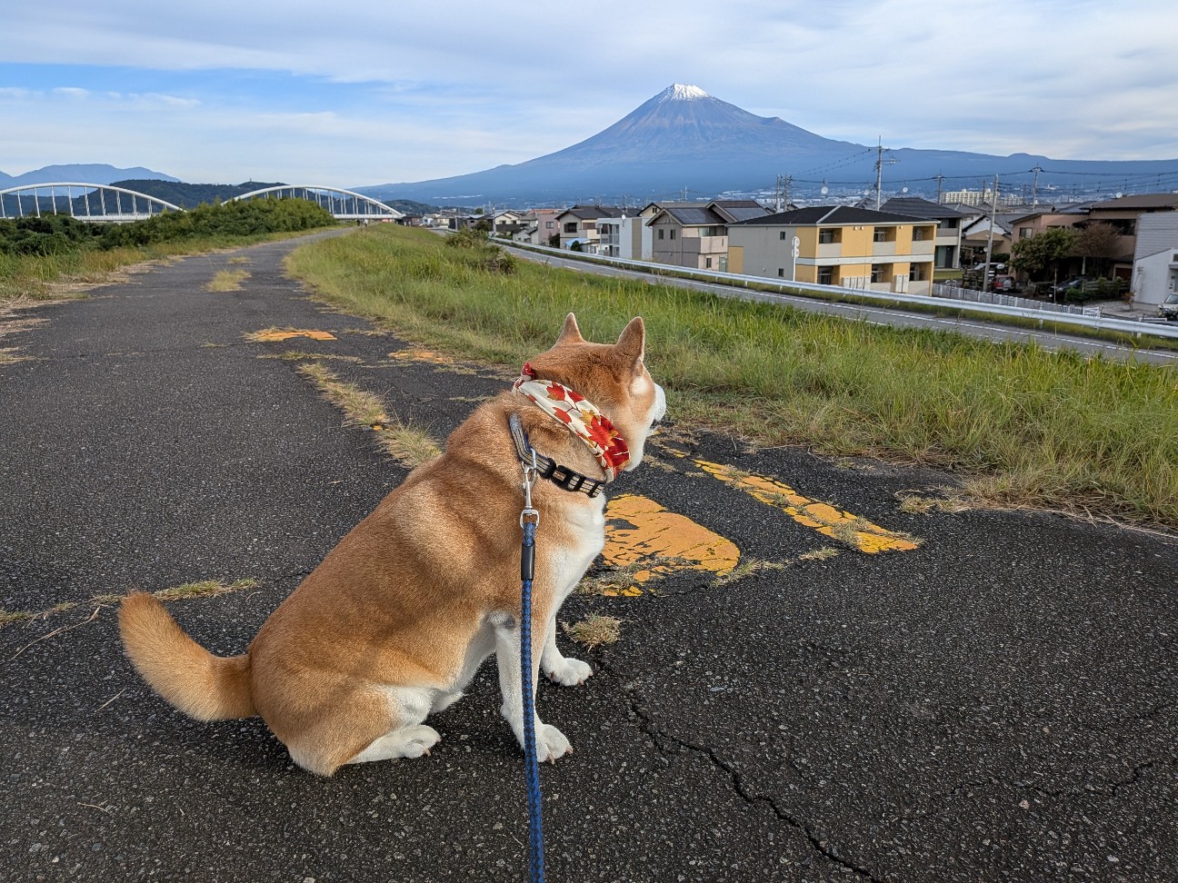 f:id:chikuwanwan1106:20251205082026j:image