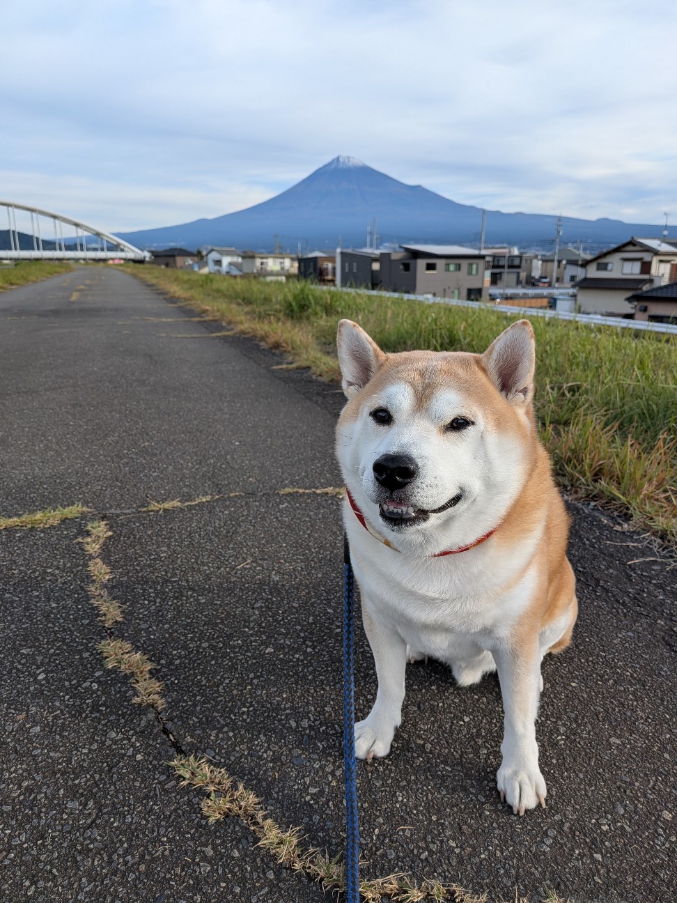 f:id:chikuwanwan1106:20251205082107j:image