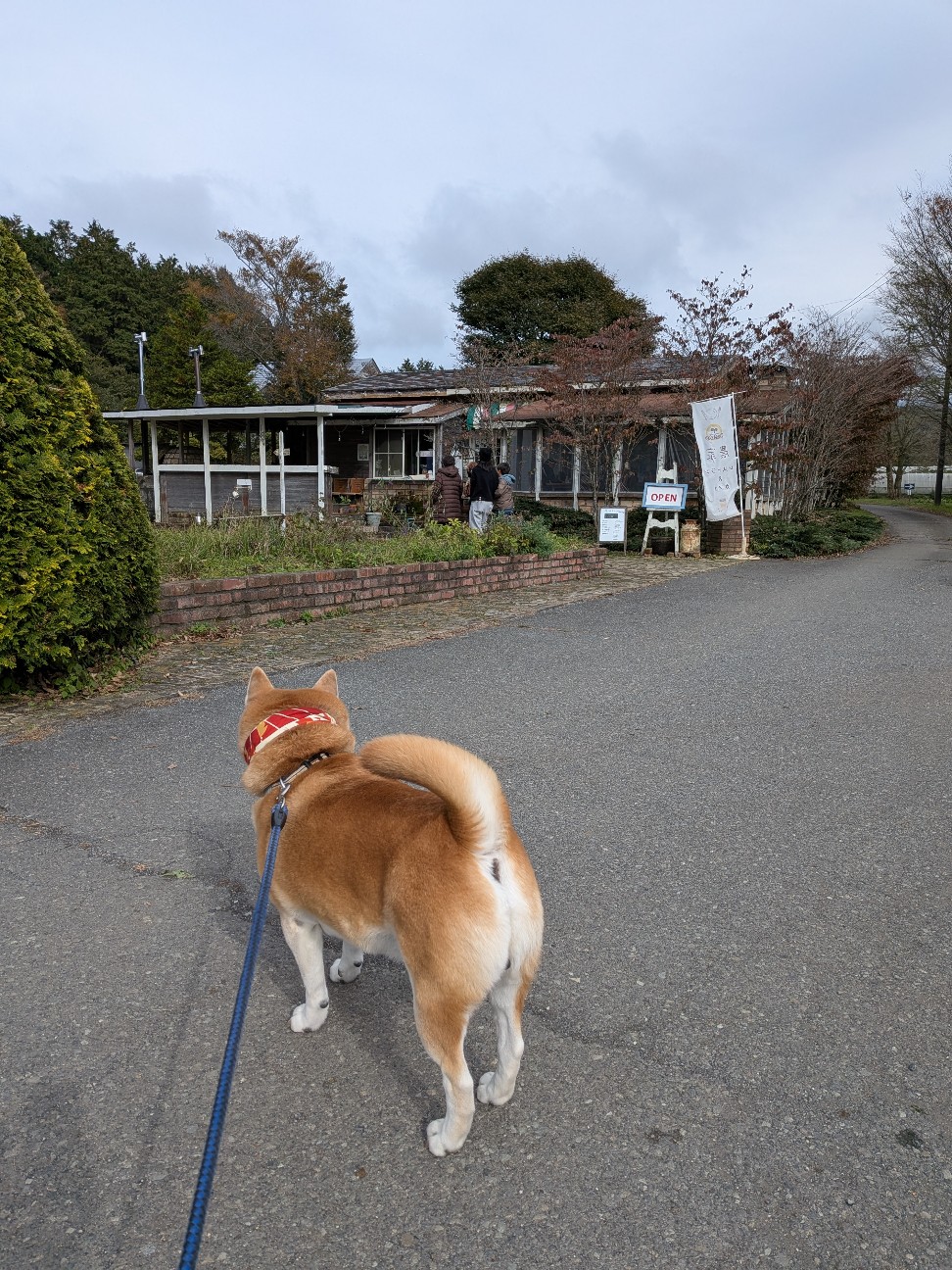 f:id:chikuwanwan1106:20251206084737j:image