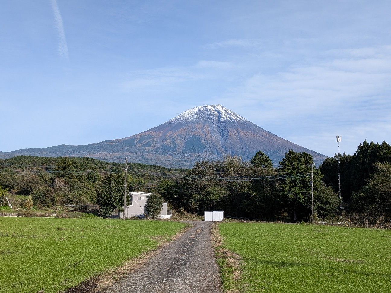f:id:chikuwanwan1106:20251206100702j:image