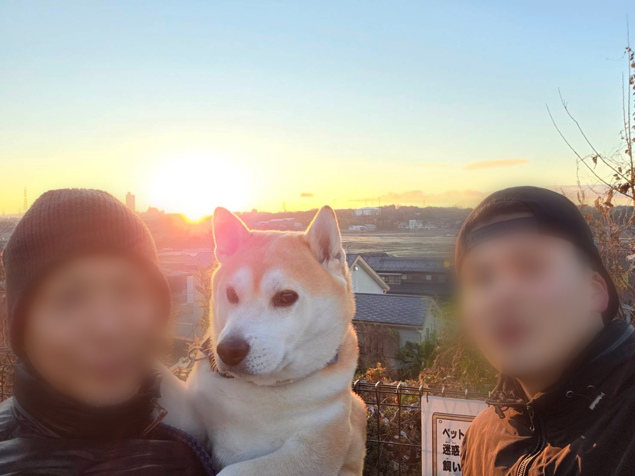 f:id:chikuwanwan1106:20260101131821j:image
