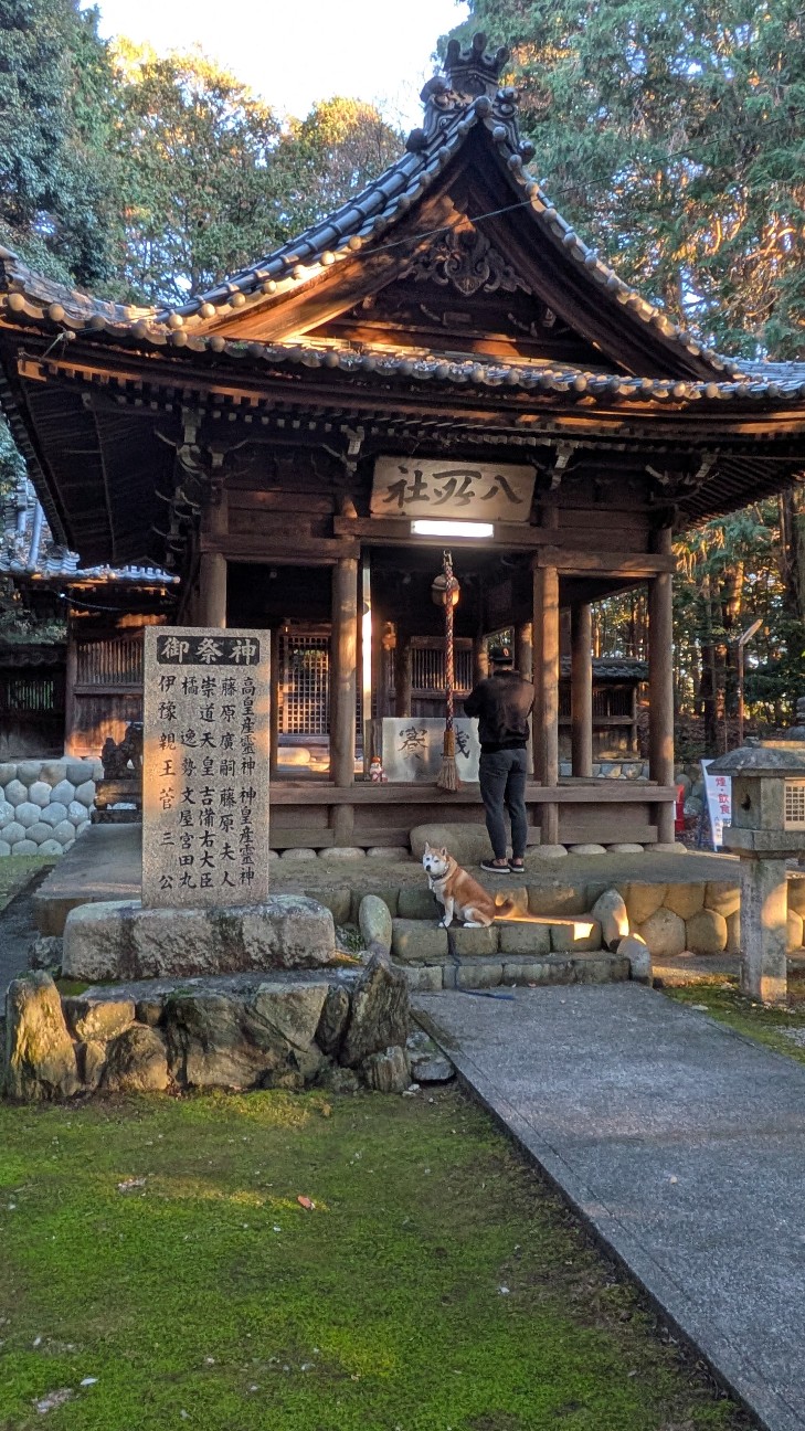 f:id:chikuwanwan1106:20260101132904j:image