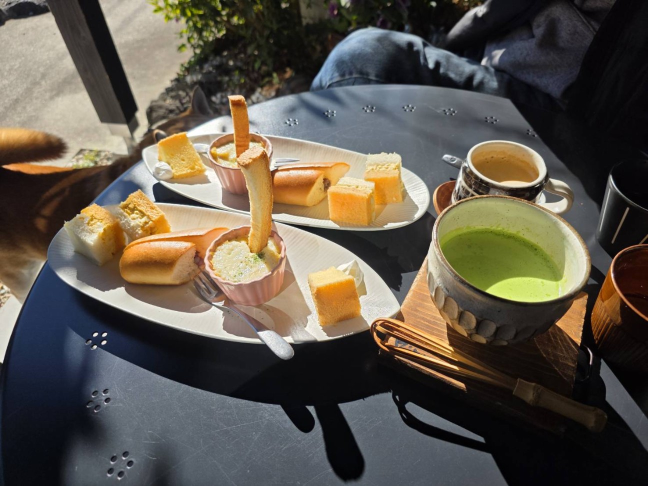 f:id:chikuwanwan1106:20260209150620j:image