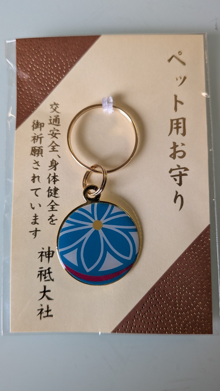 f:id:chikuwanwan1106:20260210225011j:image