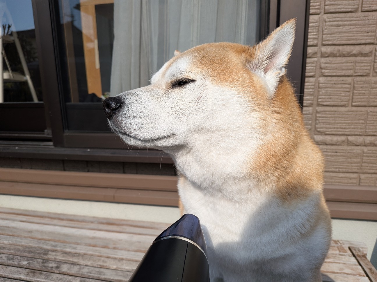 f:id:chikuwanwan1106:20260224100343j:image f:id:chikuwanwan1106:20260224100343j:image