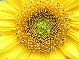 f:id:childeducation358:20170614001541j:image f:id:childeducation358:20170614001541j:image