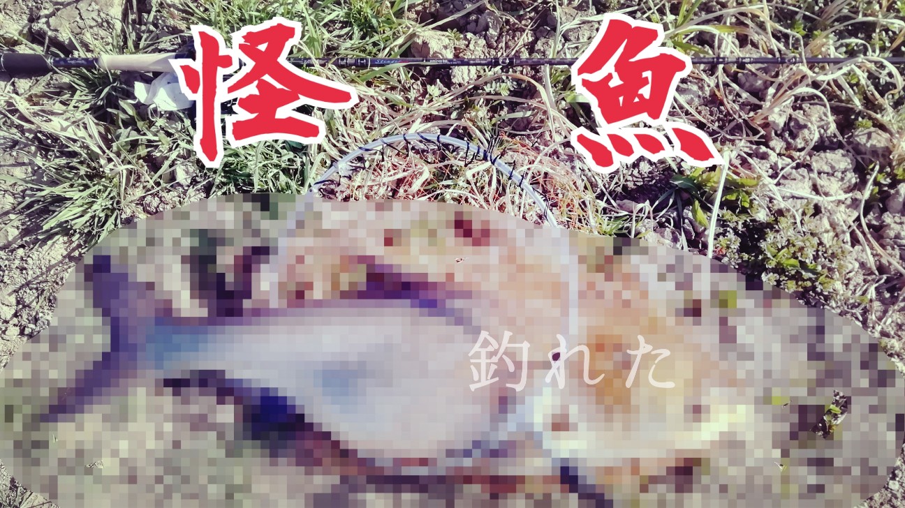 釣ったぜ 荒川温排水リベンジマッチ 怪魚 さいたまからきました 海釣り バス釣りブログ 釣ったぜ 荒川温排水リベンジマッチ 怪魚 さいたまからきました 海釣り バス釣りブログ