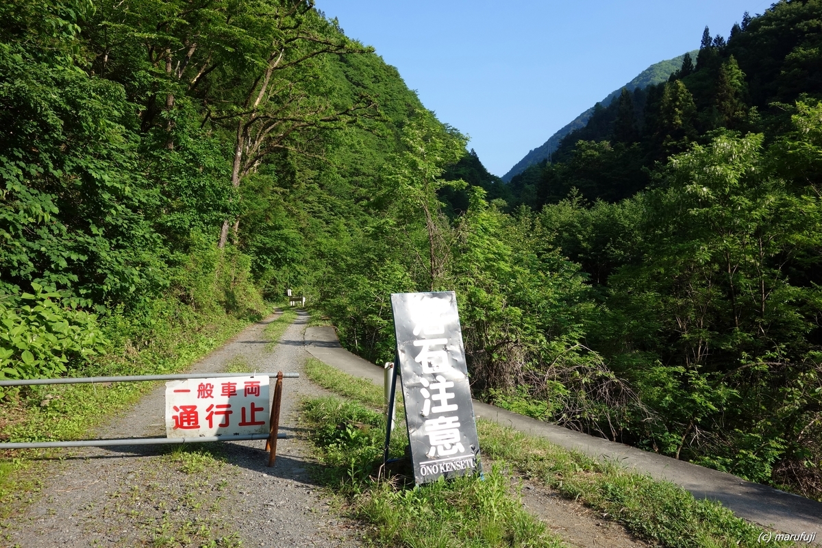 f:id:childstar:20190622101122j:plain
