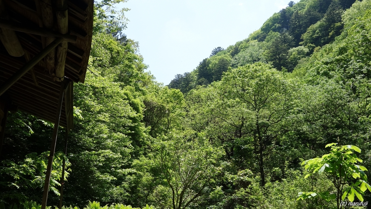f:id:childstar:20190622182659j:plain