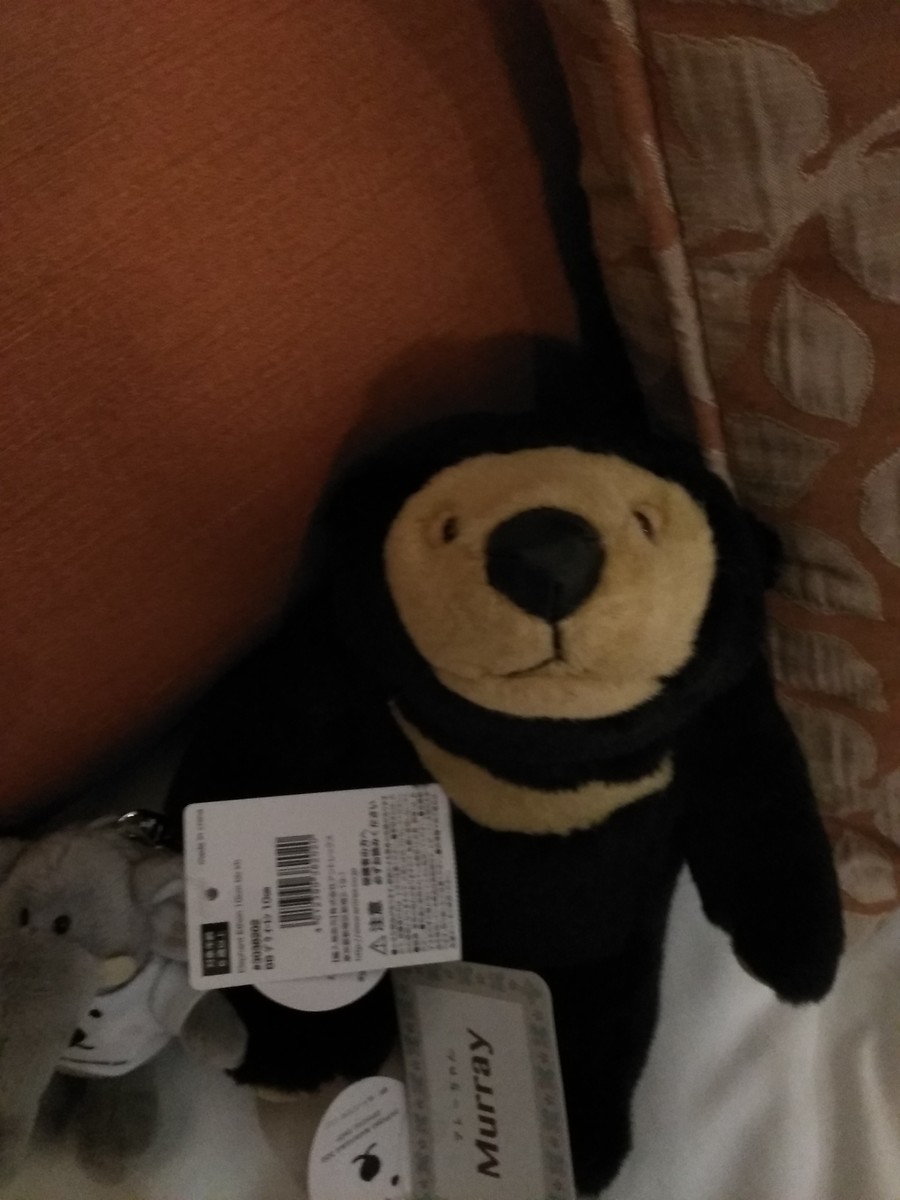 お土産に買ったマレーグマとゾウのぬいぐるみ