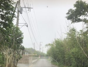 入口から受付へ向かう道