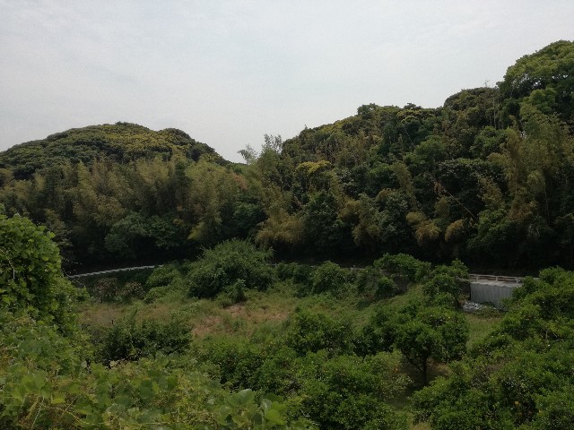 f:id:chillmatic_diggin:20190602155837j:image
