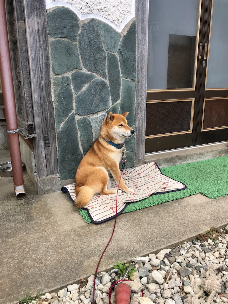 f:id:chilogic:20180704201526j:image