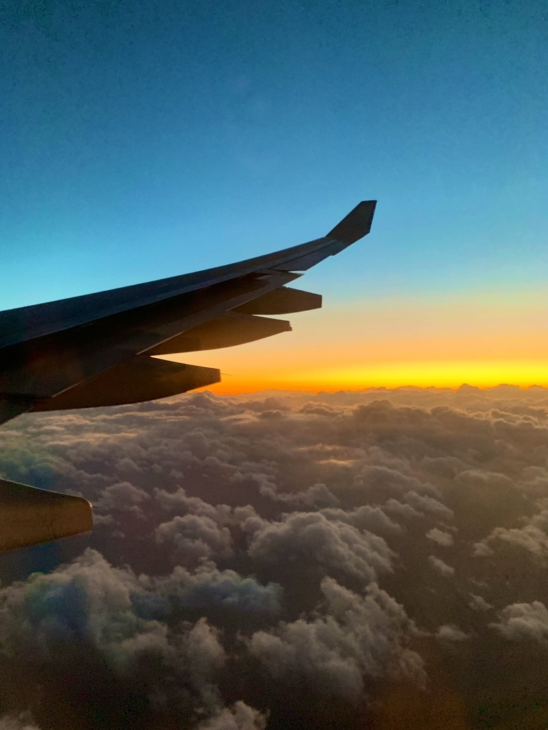 f:id:chim_blue:20190117234301j:plain f:id:chim_blue:20190117234301j:plain