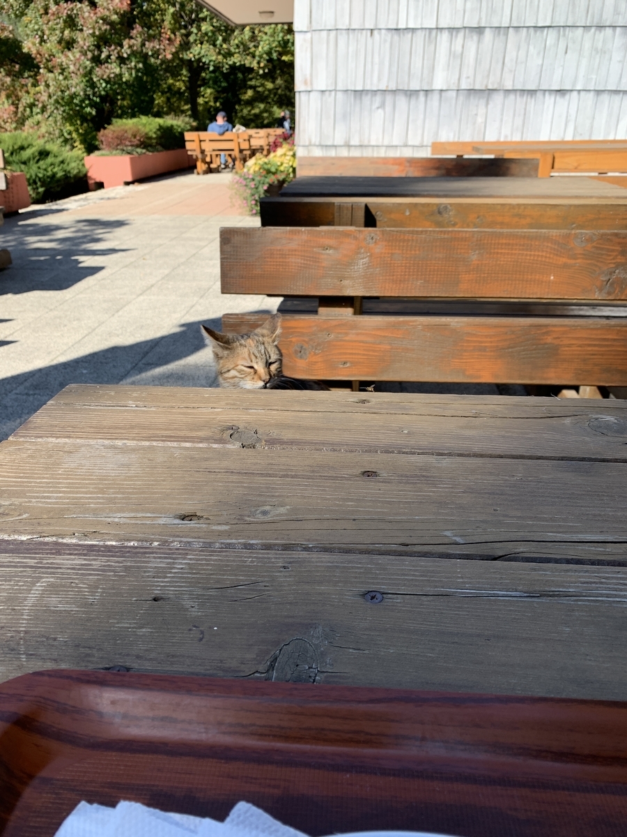 f:id:chim_blue:20191104023330j:plain f:id:chim_blue:20191104023330j:plain