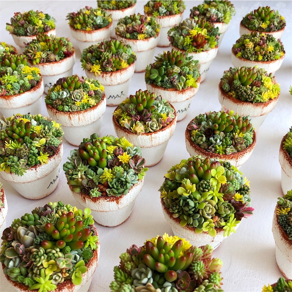 f:id:chimalabo:20180610123358j:image