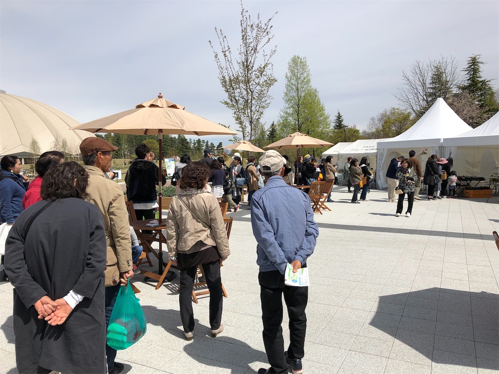 f:id:chimalabo:20190503050647j:image