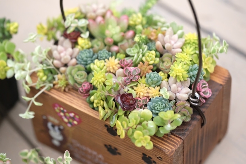 f:id:chimalabo:20201028173004j:plain