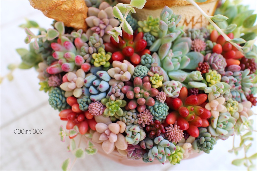 f:id:chimalabo:20210222115526j:image