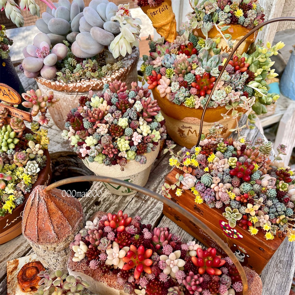 f:id:chimalabo:20210222115856j:image