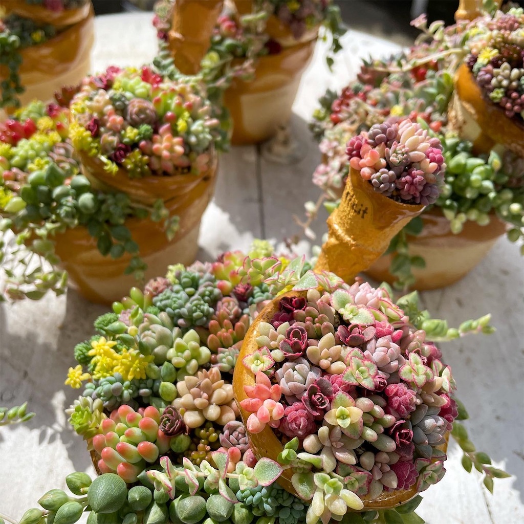 f:id:chimalabo:20210301155248j:image f:id:chimalabo:20210301155248j:image