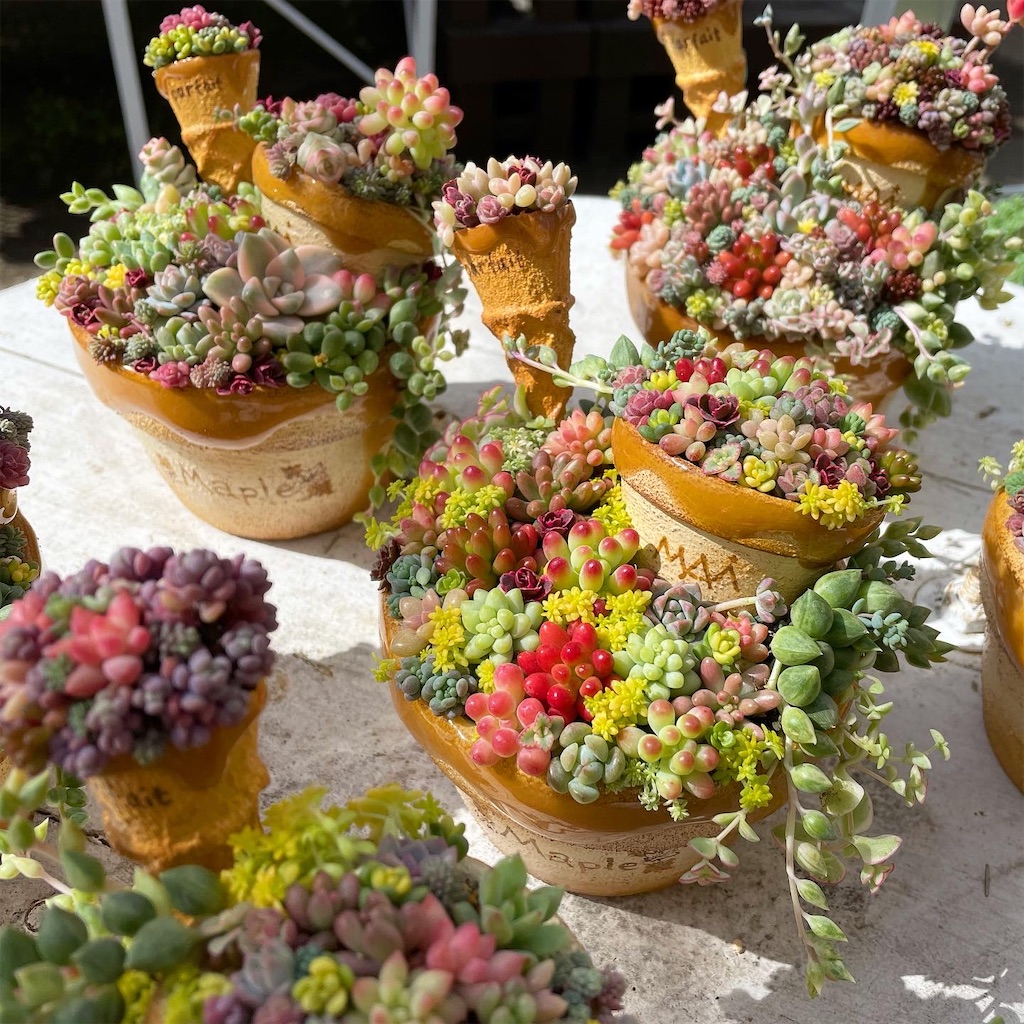 f:id:chimalabo:20210301155303j:image f:id:chimalabo:20210301155303j:image