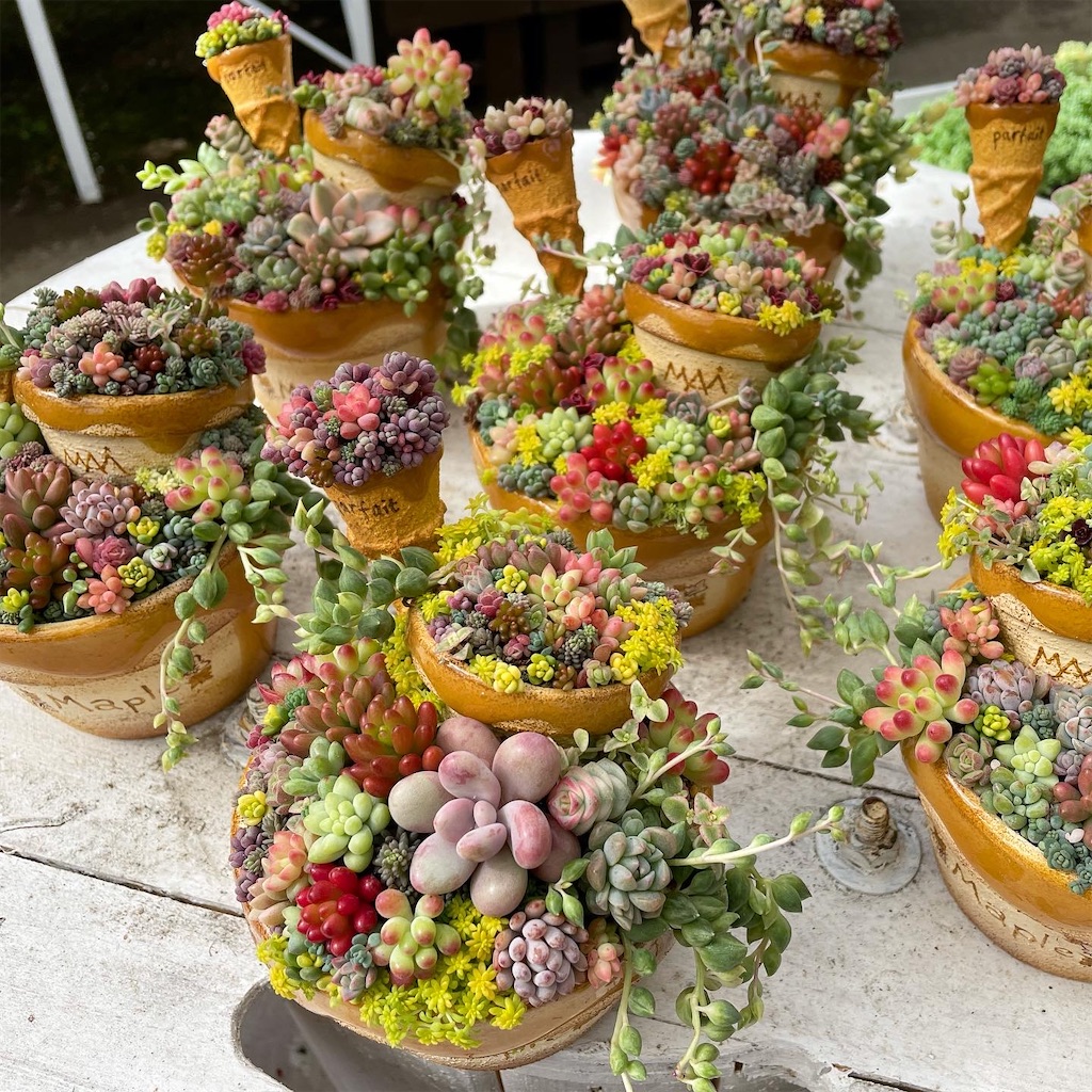 f:id:chimalabo:20210301155404j:image f:id:chimalabo:20210301155404j:image