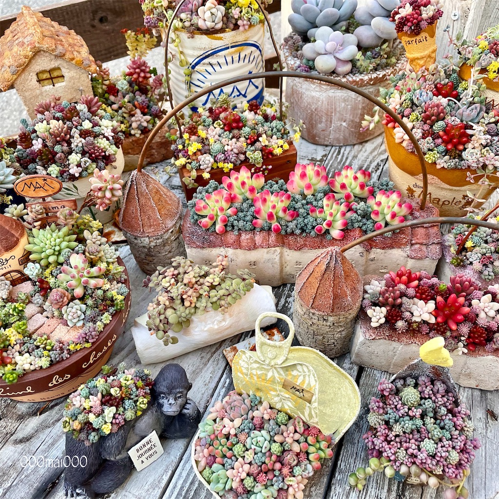 f:id:chimalabo:20210311213816j:image f:id:chimalabo:20210311213816j:image