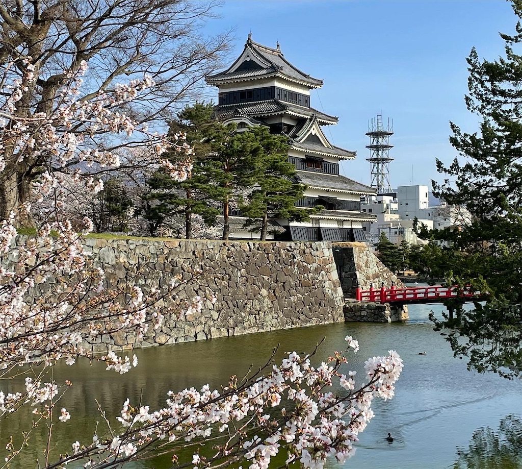 f:id:chimalabo:20210402143505j:image