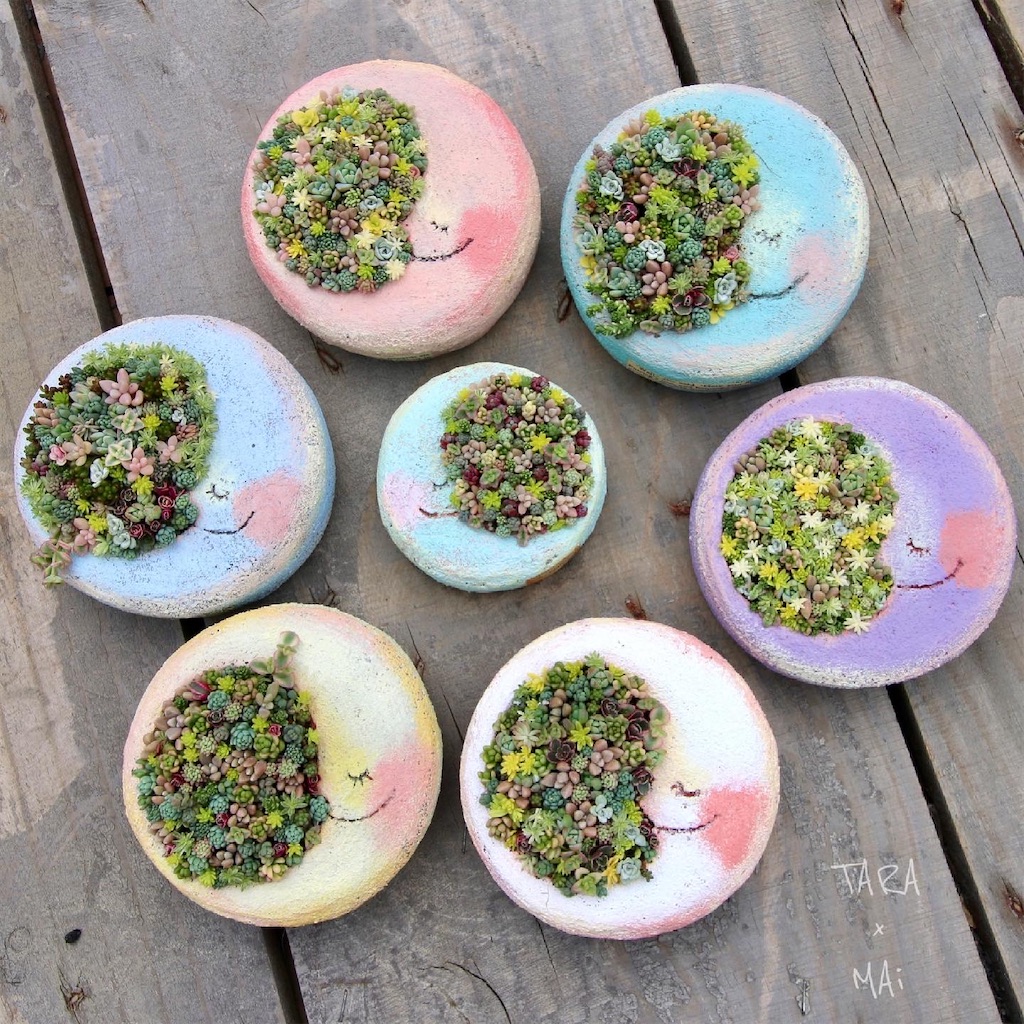 f:id:chimalabo:20210613132822j:image