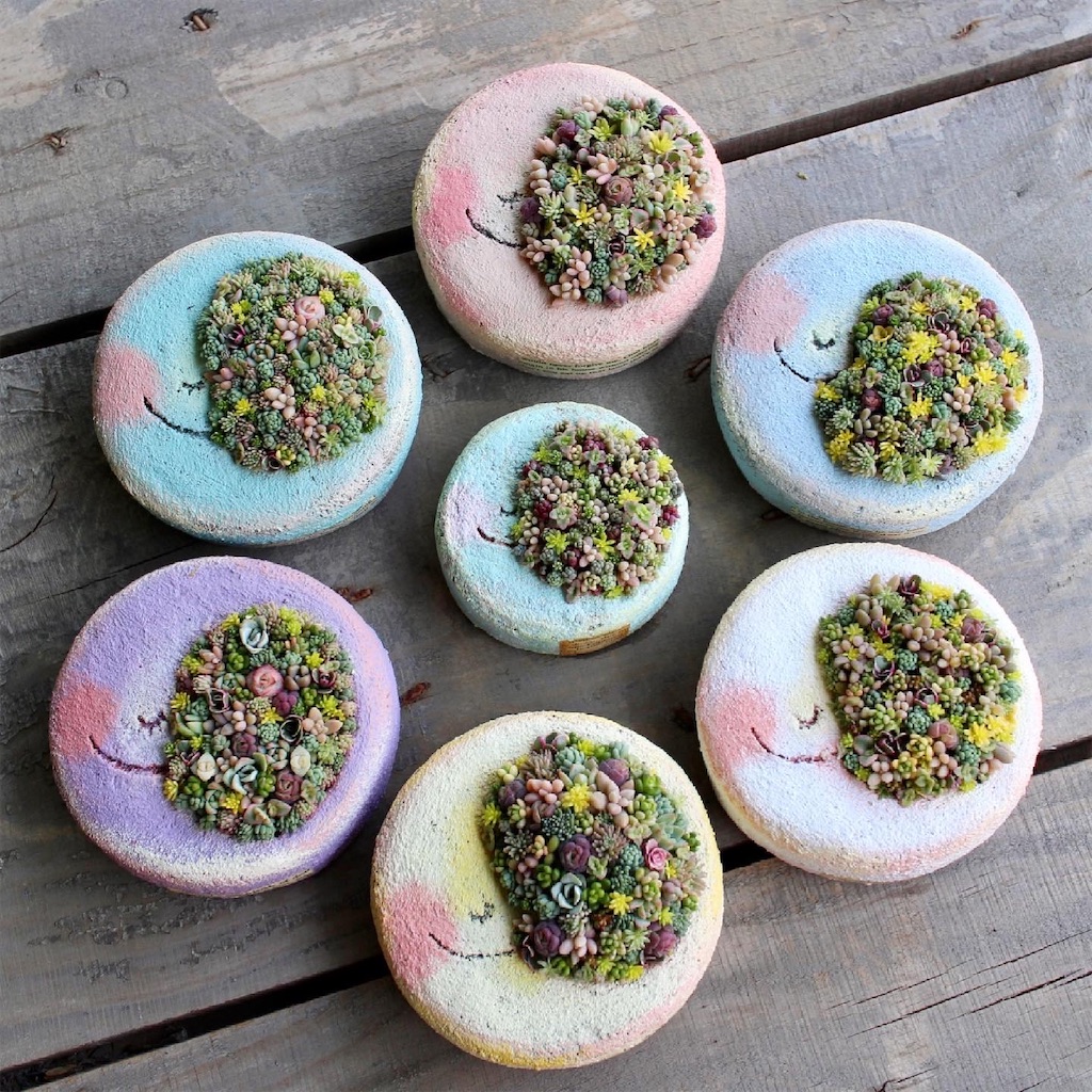 f:id:chimalabo:20210613132833j:image