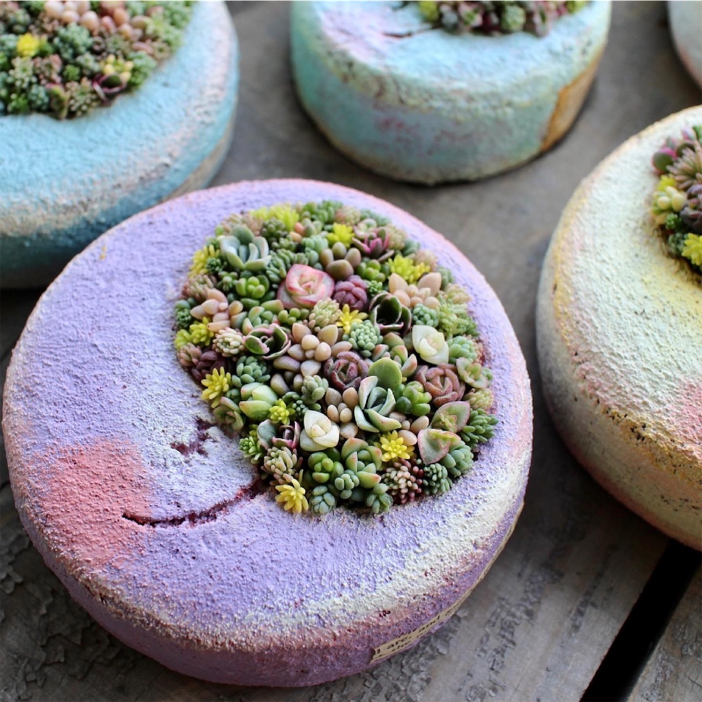 f:id:chimalabo:20210613132855j:image