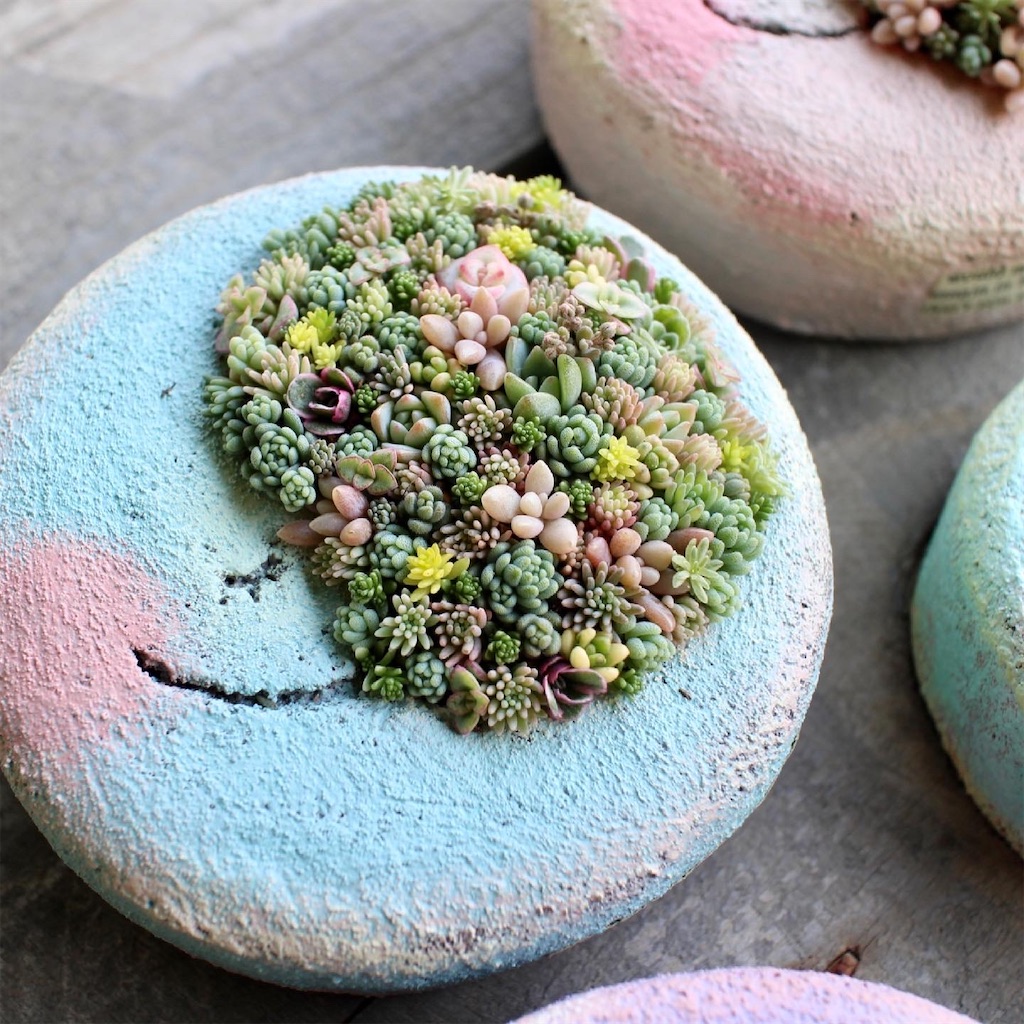 f:id:chimalabo:20210613132904j:image