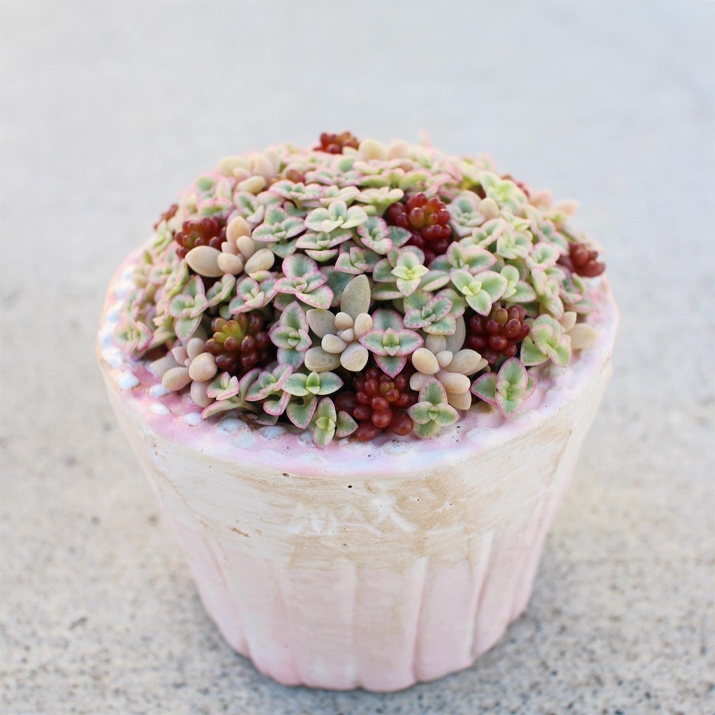 f:id:chimalabo:20211213202214j:image