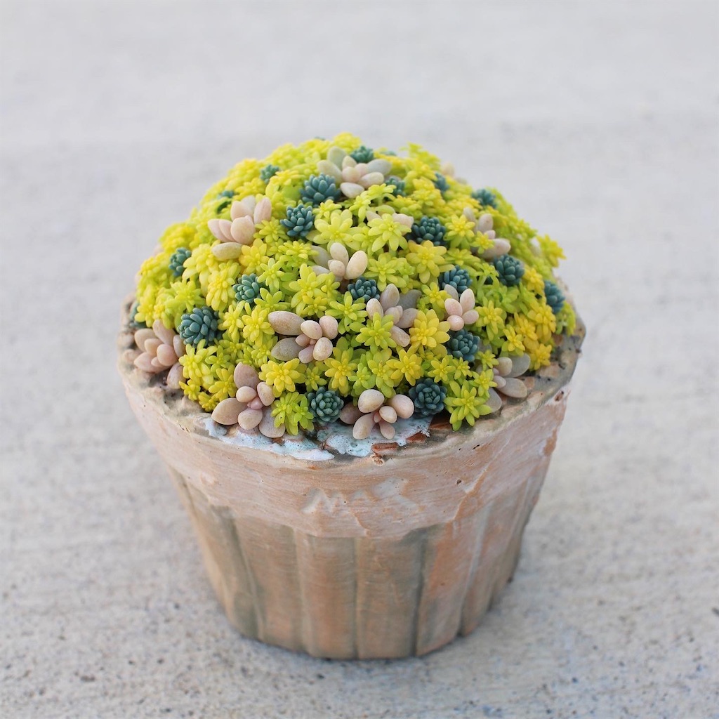 f:id:chimalabo:20220119165455j:image