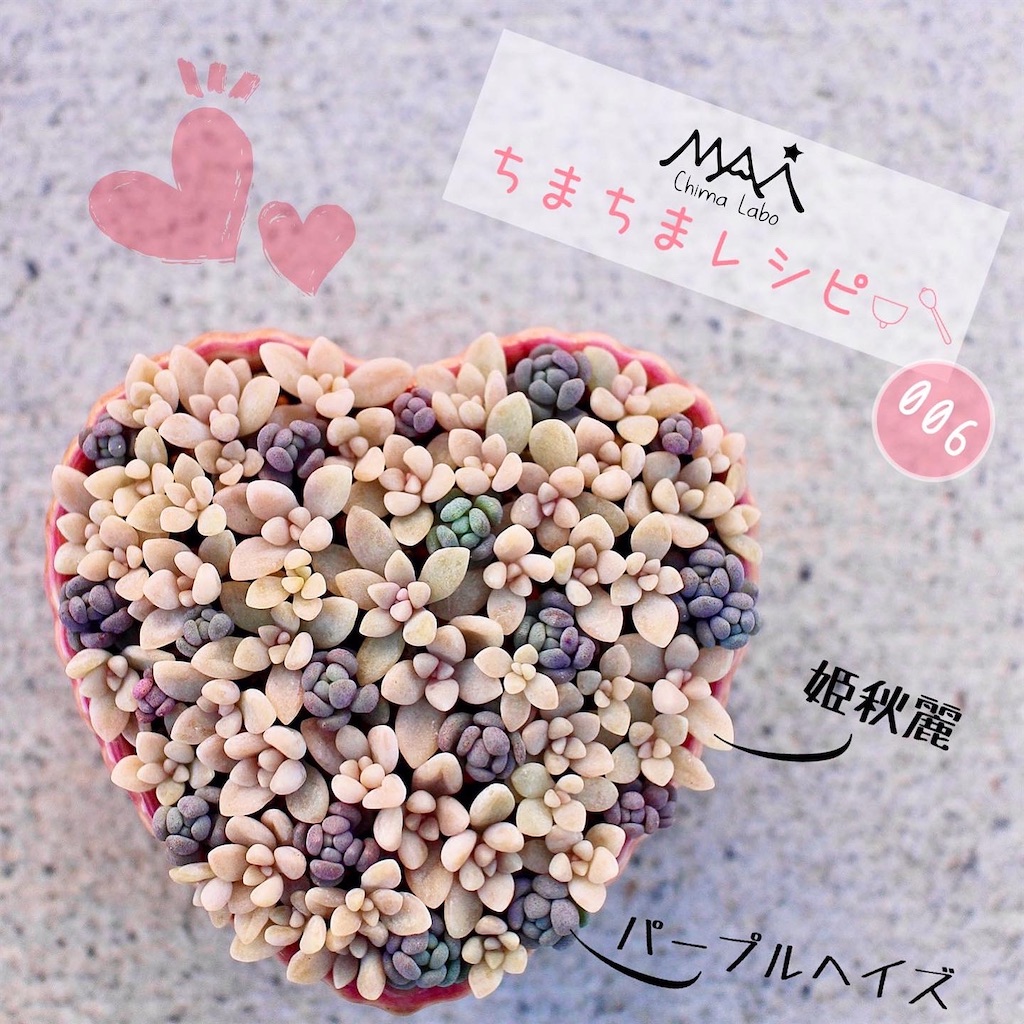 f:id:chimalabo:20220208151658j:image