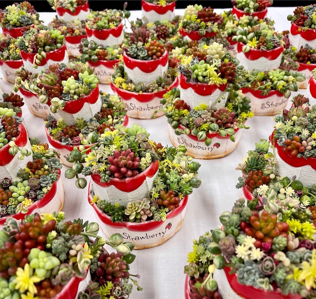 f:id:chimalabo:20220422064542j:image