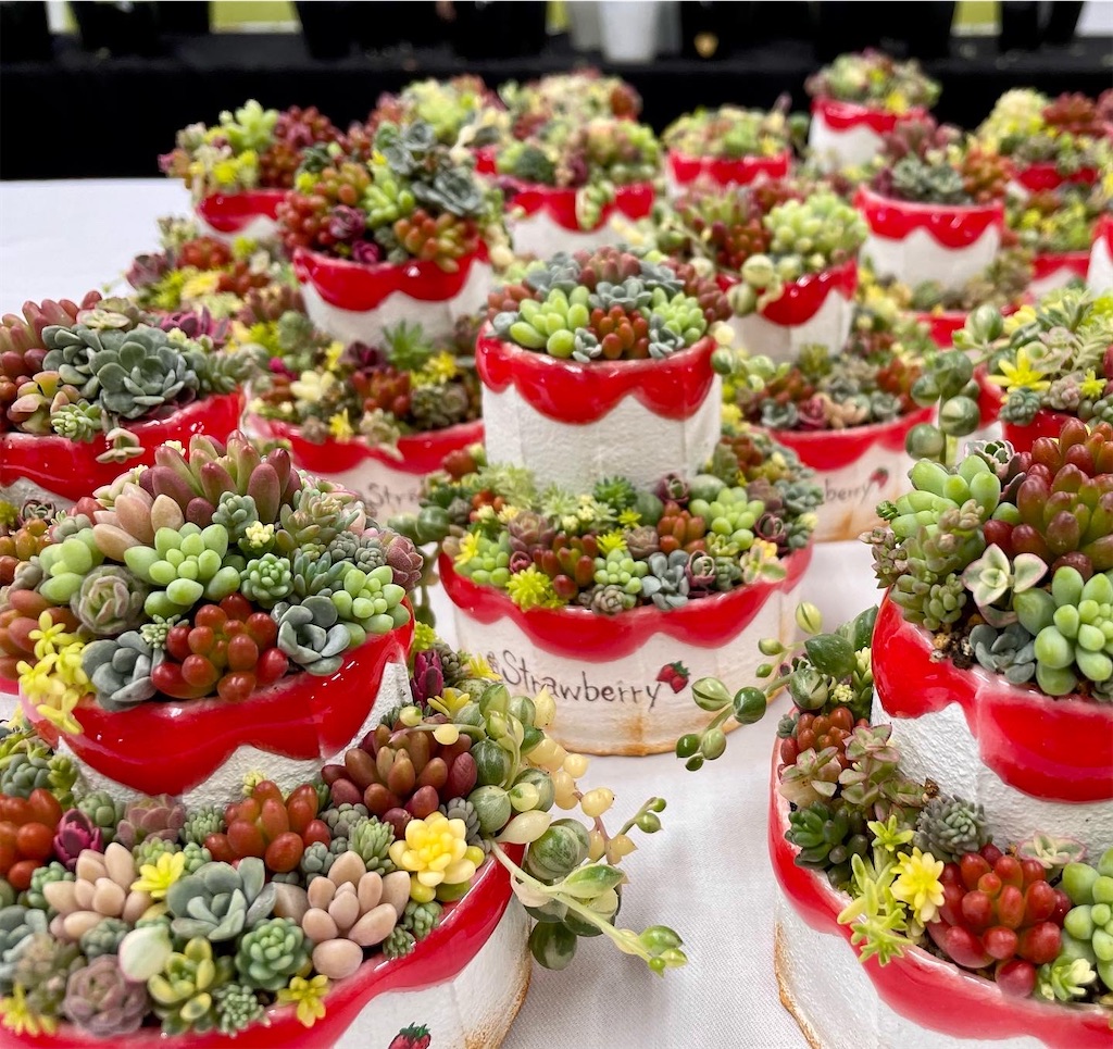 f:id:chimalabo:20220422064547j:image