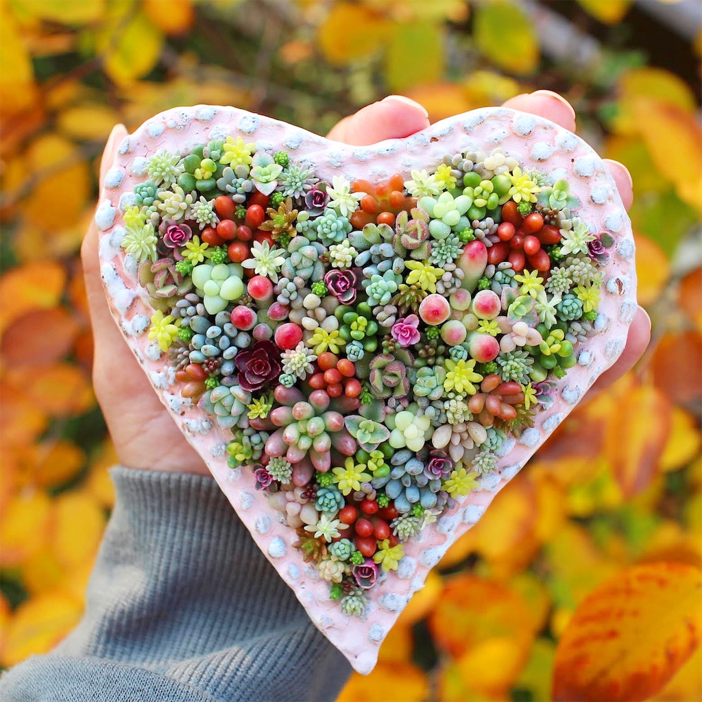 f:id:chimalabo:20220428182156j:image