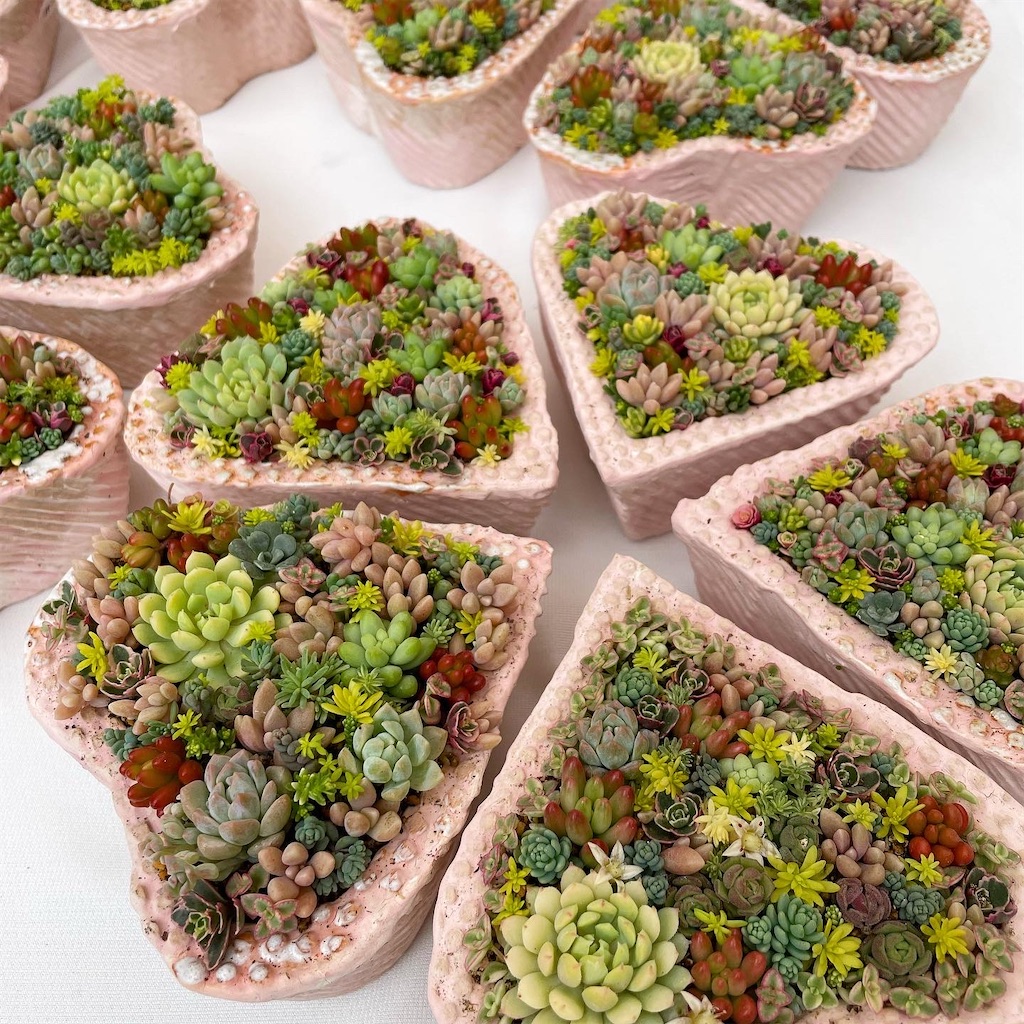 f:id:chimalabo:20220517111646j:image