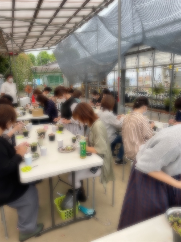 f:id:chimalabo:20220517112227j:image