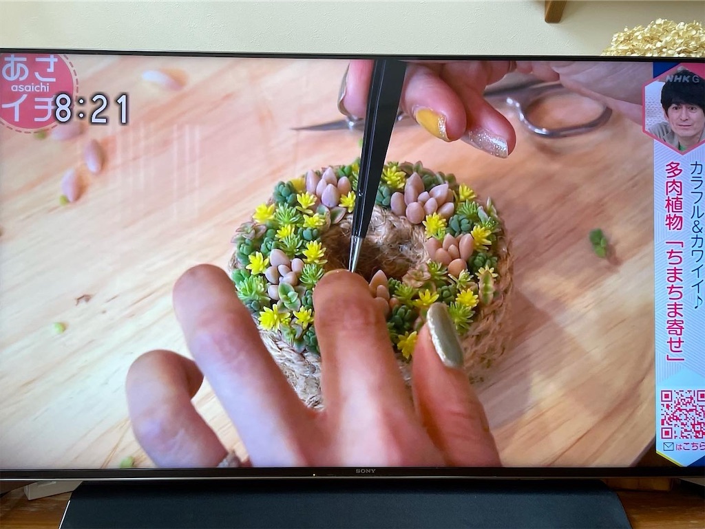 f:id:chimalabo:20220621051356j:image