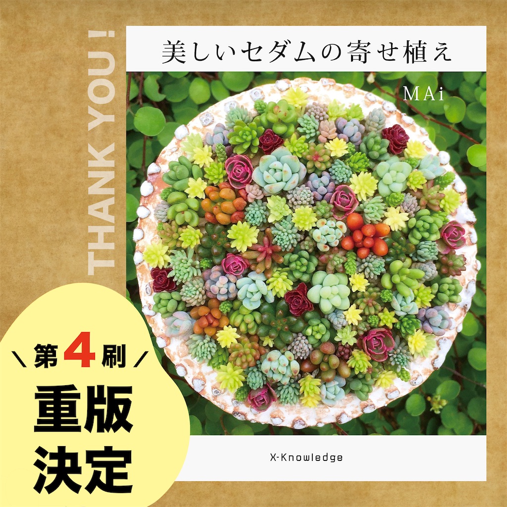 著書『美しいセダムの寄せ植え』4刷重版決定！ - Chima Labo ー多肉な