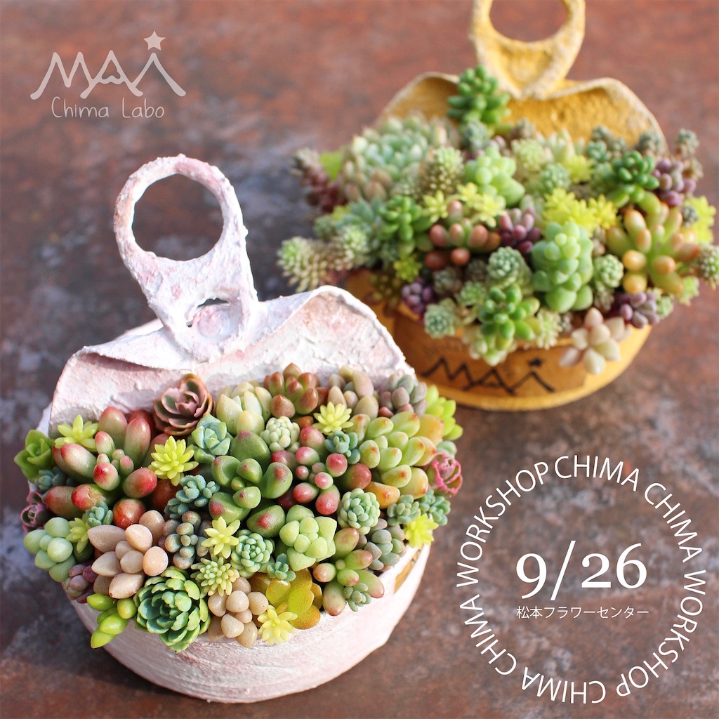 f:id:chimalabo:20230913112840j:image