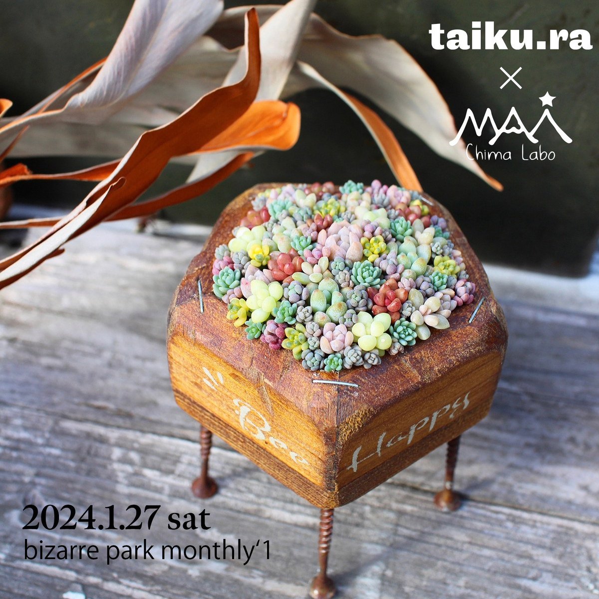 はちわれの肉球 WS開催！bizarre park monthly ちまちま寄せWS予約受付 - Chima Labo