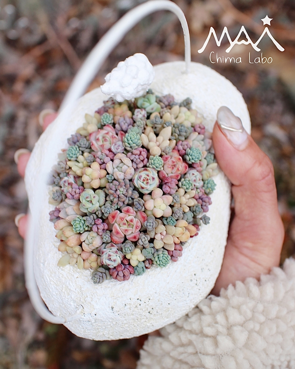 WS予約】3月2日 タナベフラワーちまちま寄せWS - Chima Labo ー多肉な