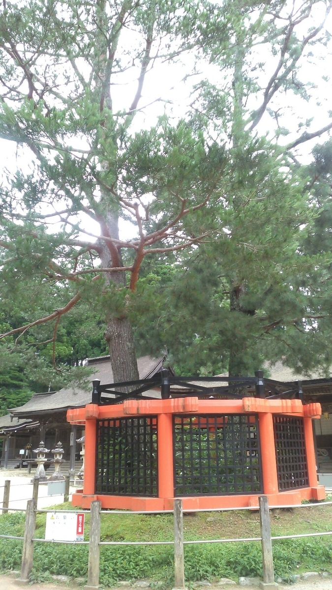 f:id:chimaring:20200606142658j:plain f:id:chimaring:20200606142658j:plain