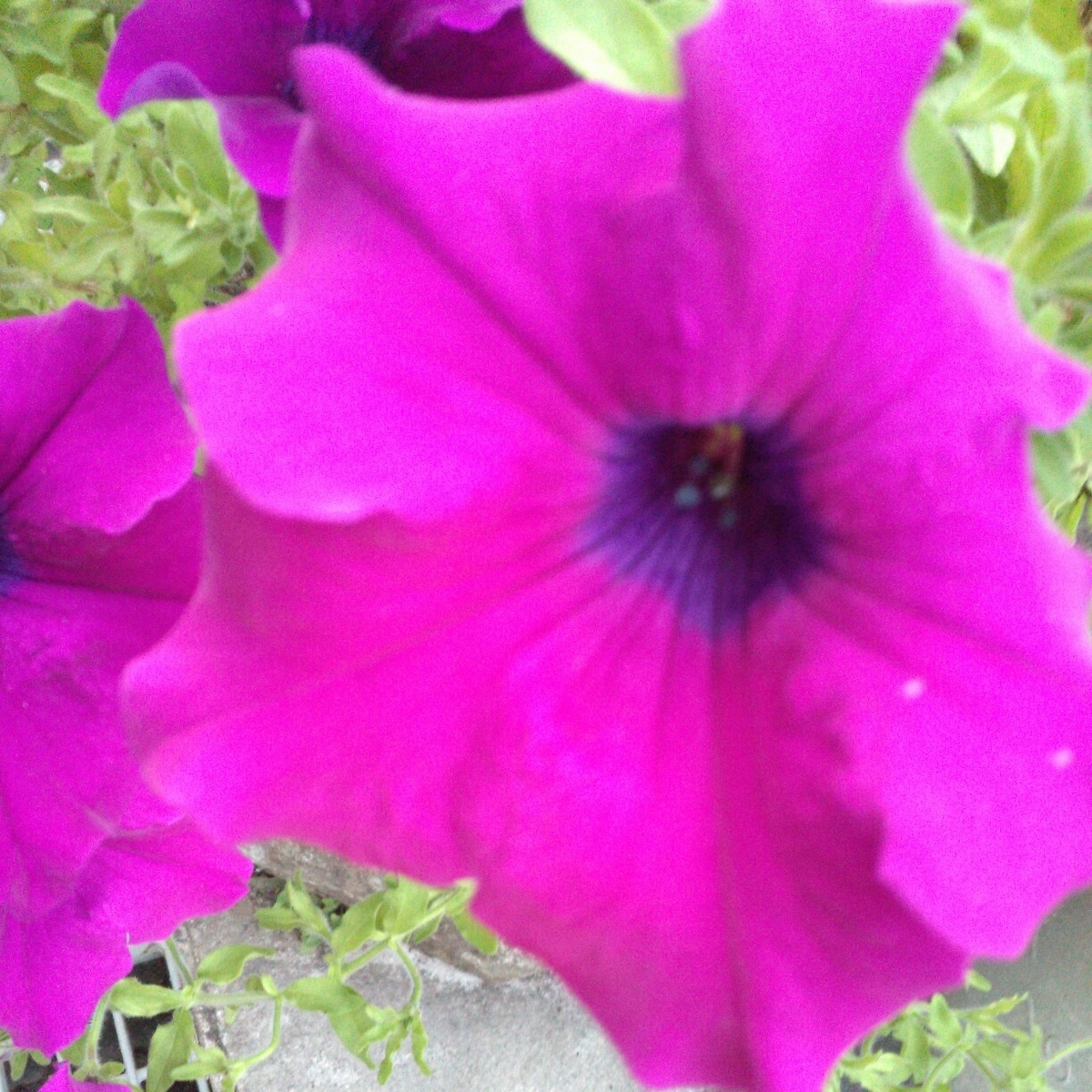 f:id:chimaring:20200806182031j:plain f:id:chimaring:20200806182031j:plain