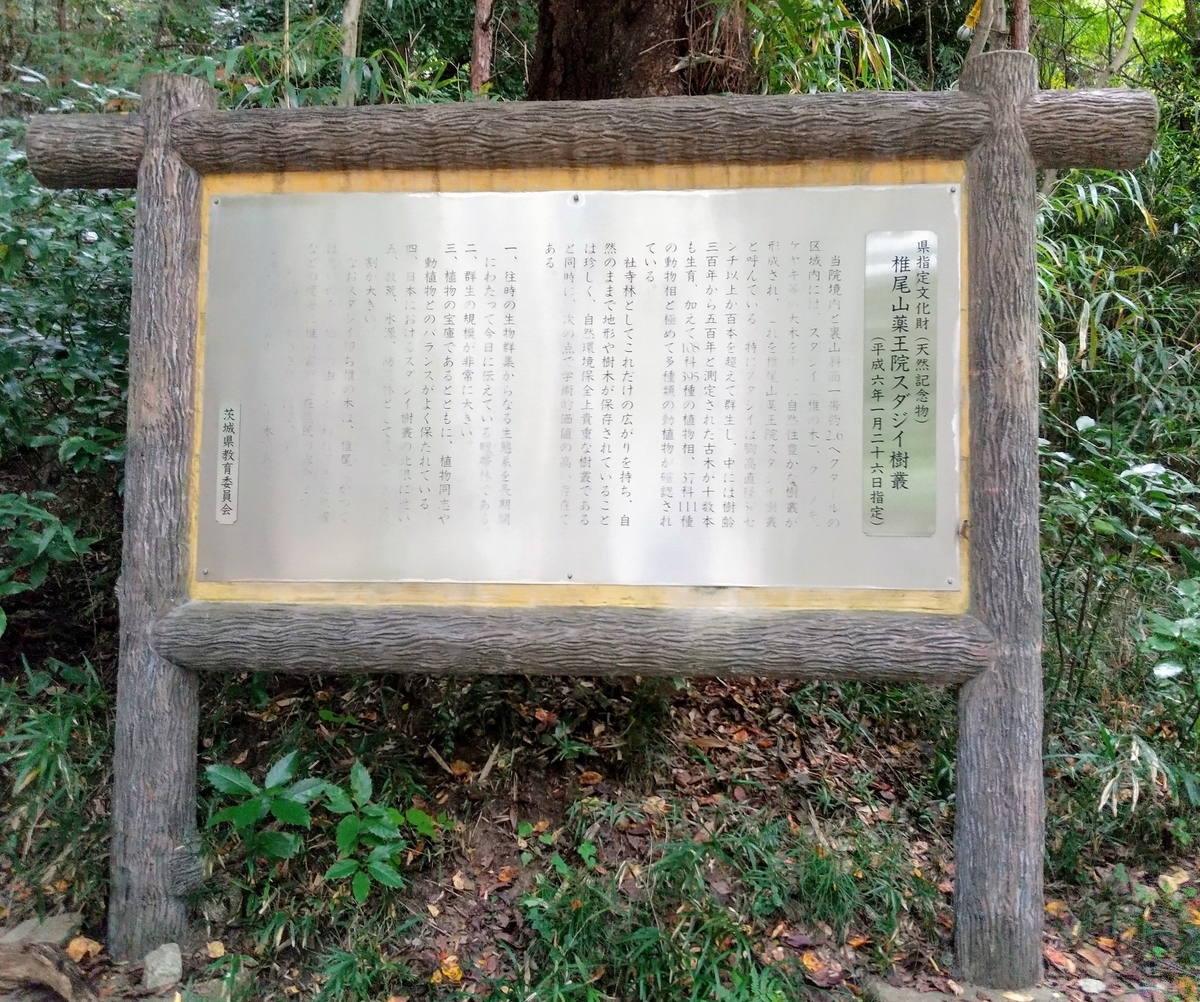 f:id:chimaring:20201101150044j:plain f:id:chimaring:20201101150044j:plain