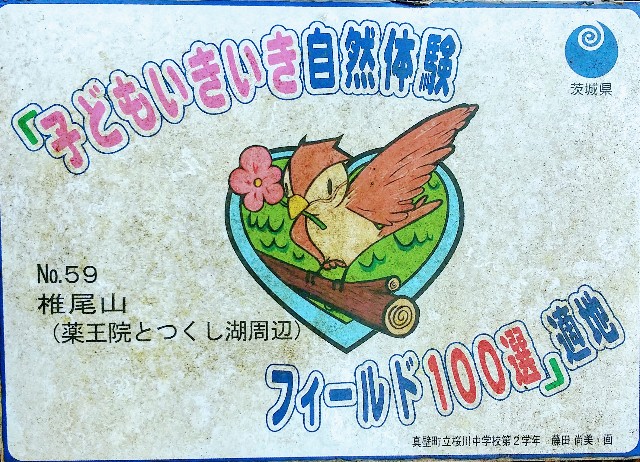 f:id:chimaring:20201213163348j:image f:id:chimaring:20201213163348j:image